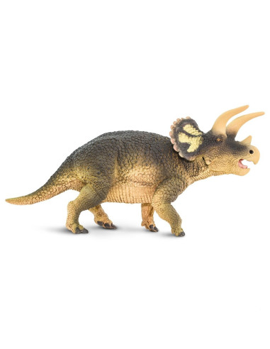 Triceratops