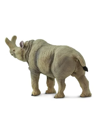 Megacerops
