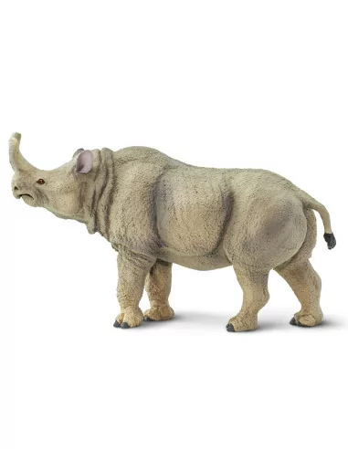 Megacerops