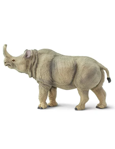 Megacerops