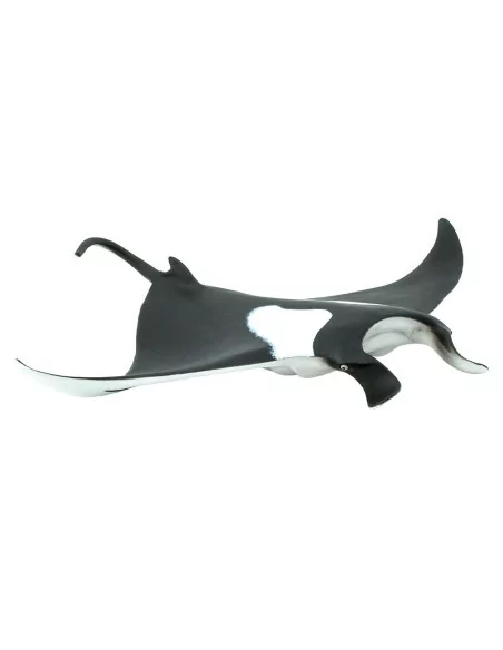 Manta - diabeł morski