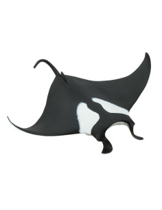 Manta - diabeł morski