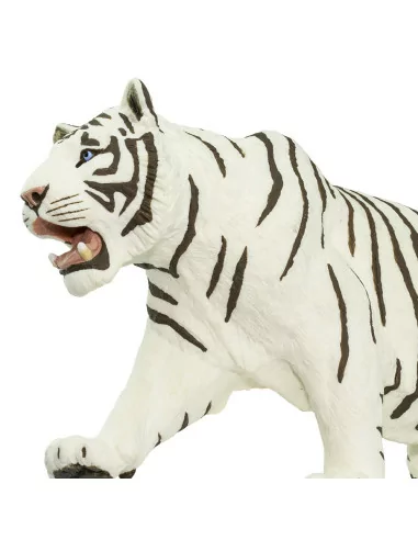 Biały Tygrys syberyjski