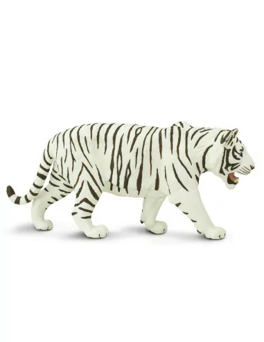 Biały Tygrys syberyjski