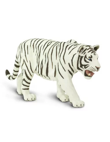 Biały Tygrys syberyjski