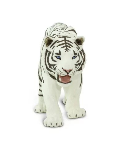 Biały Tygrys syberyjski