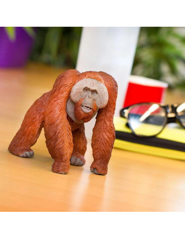 Orangutan skala