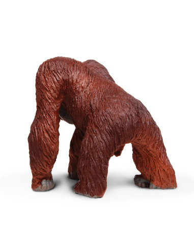 Orangutan skala