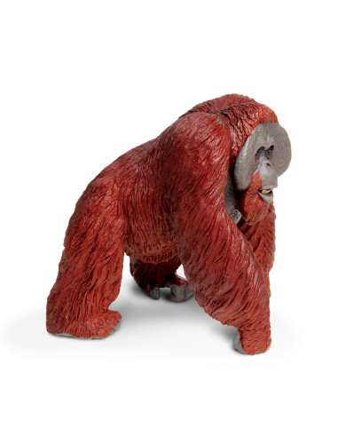 Orangutan skala