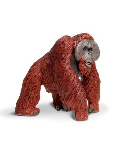 Orangutan skala