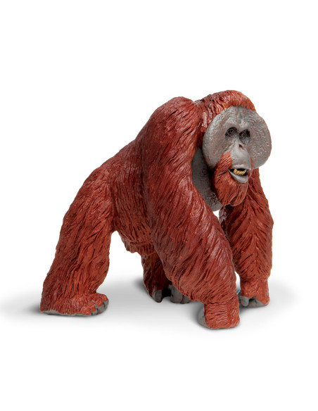 Orangutan skala