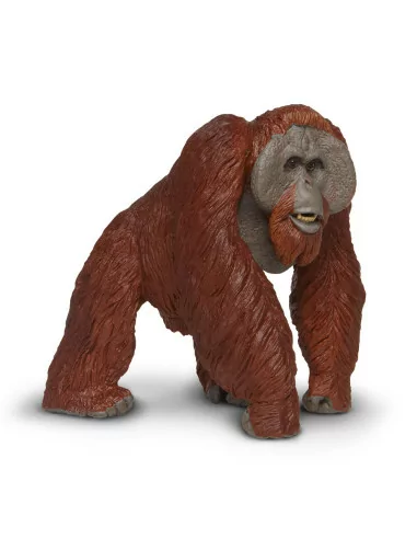 Orangutan skala
