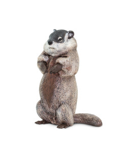 Svišť