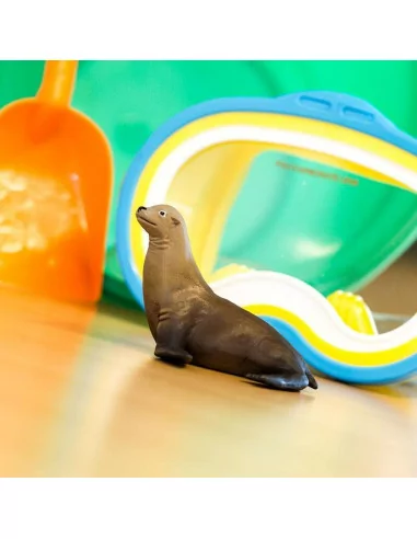 Uchatka kalifornijska