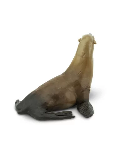 Uchatka kalifornijska