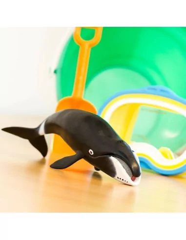 Wieloryb grenlandzki