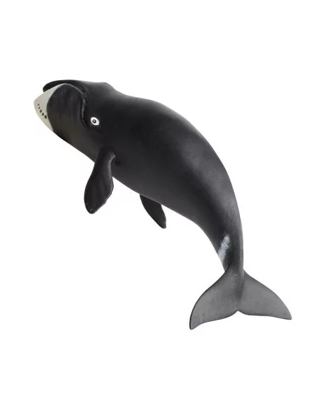 Wieloryb grenlandzki