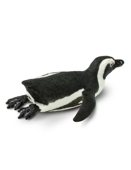 Pingwin przylądkowy