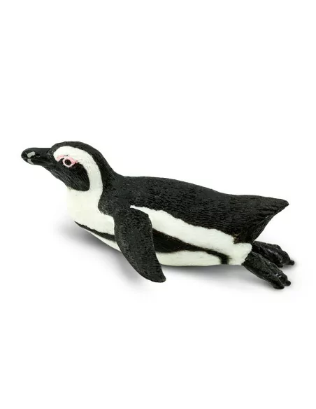 Pingwin przylądkowy