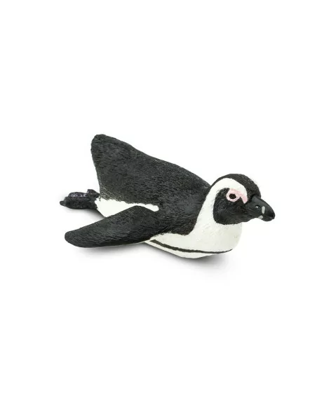 Pingwin przylądkowy