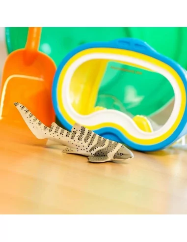 Heterodontus zebra (Rogatek)