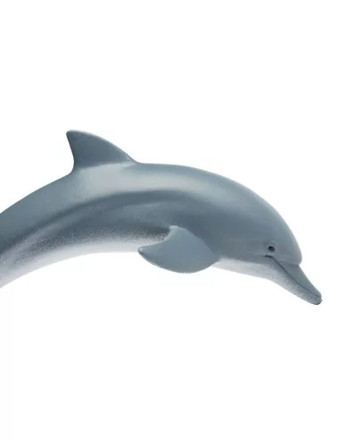 Delfin