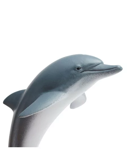 Delfin