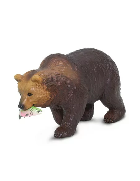 Niedźwiedź Grizzly