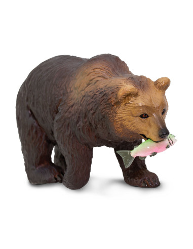 Niedźwiedź Grizzly