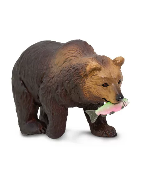 Niedźwiedź Grizzly