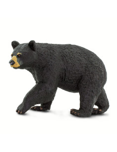 Baribal