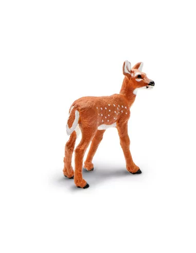 Młode jelenia wirginijskiego