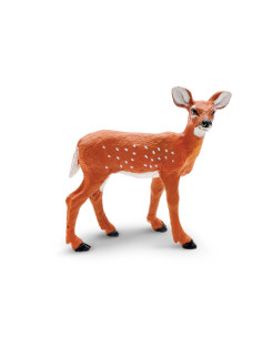 Młode jelenia wirginijskiego