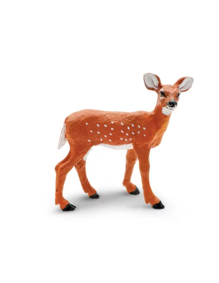 Młode jelenia wirginijskiego