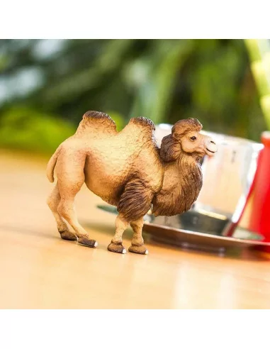 Wielbłąd dwugarbny