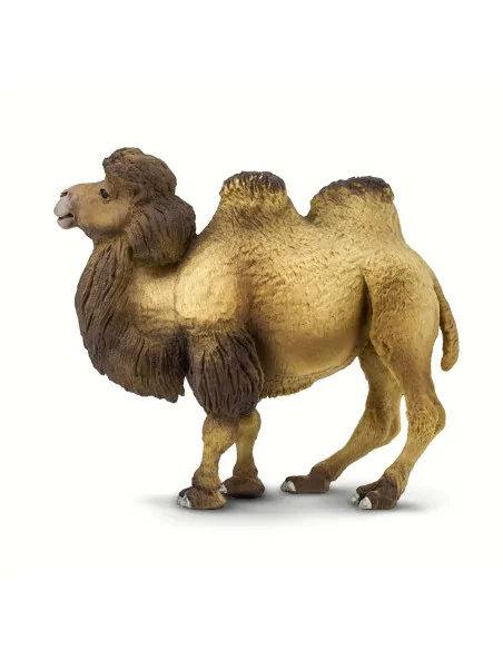 Wielbłąd dwugarbny