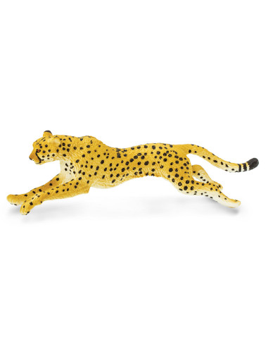 Gepard