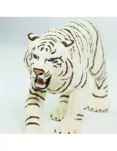 Biały tygrys bengalski