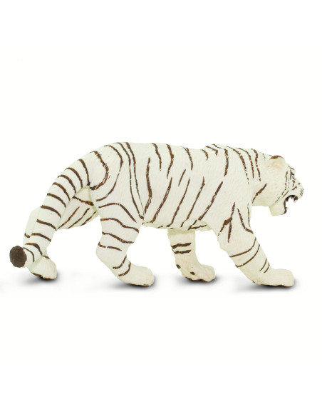 Biały tygrys bengalski