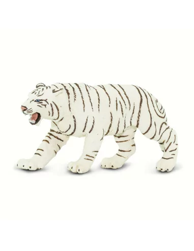 Biały tygrys bengalski