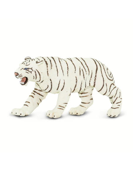 Biały tygrys bengalski