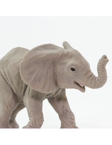 Młode słonia afrykańskiego