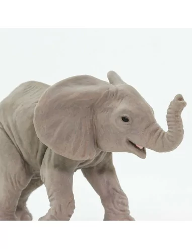 Młode słonia afrykańskiego