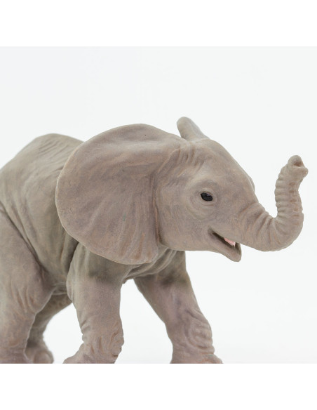 Młode słonia afrykańskiego