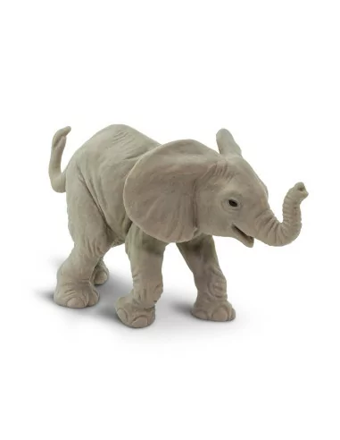 Młode słonia afrykańskiego