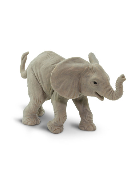 Młode słonia afrykańskiego