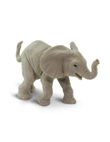 Młode słonia afrykańskiego