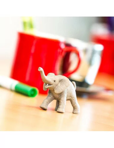 Młode słonia afrykańskiego