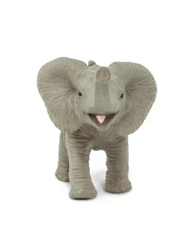 Młode słonia afrykańskiego