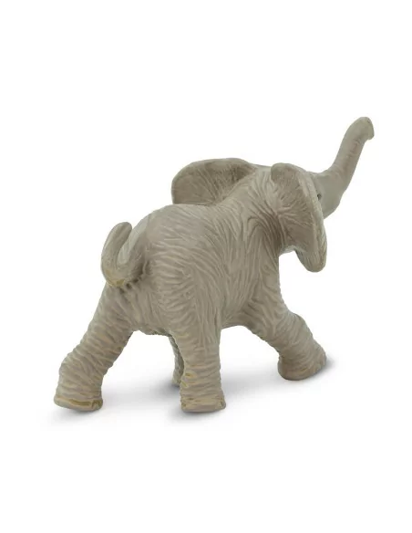 Młode słonia afrykańskiego